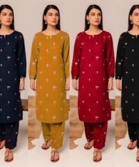 Fancy 2PC Dhanak Embroidered Suit