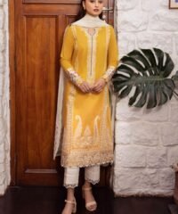 Elan 3PC Fancy Dhanak Embroidered Suit